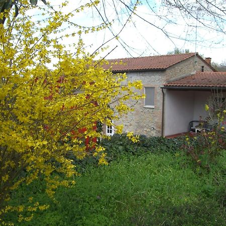 Agriturismo La Selva Villa Siena Kültér fotó