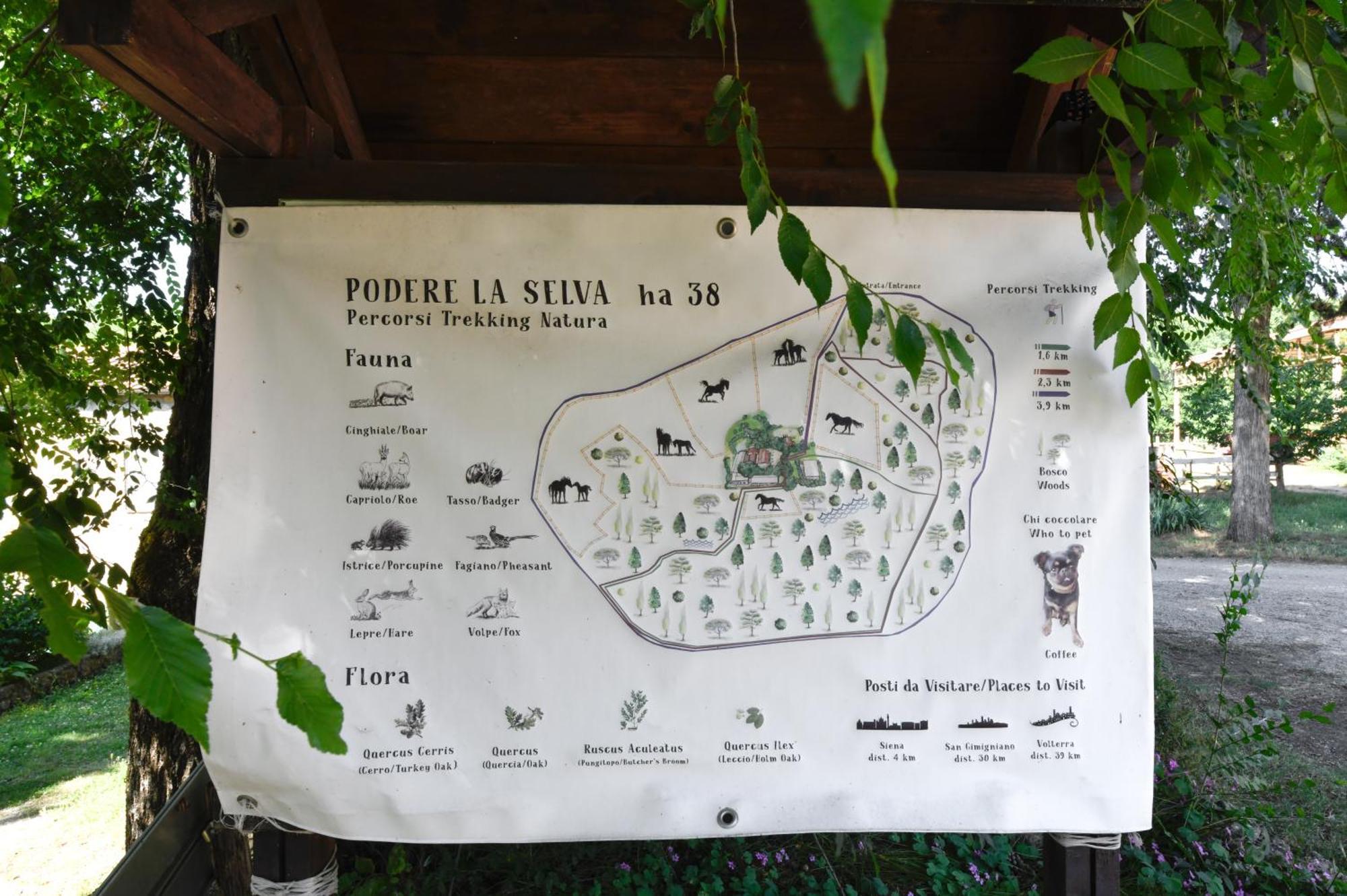 Agriturismo La Selva Villa Siena Kültér fotó