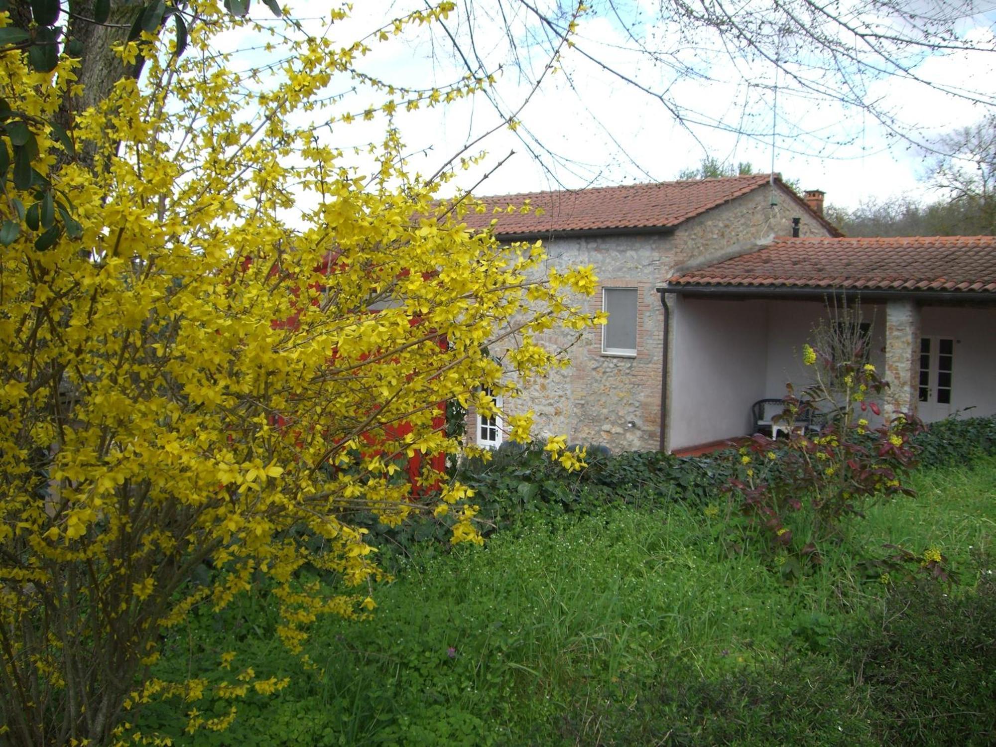 Agriturismo La Selva Villa Siena Kültér fotó