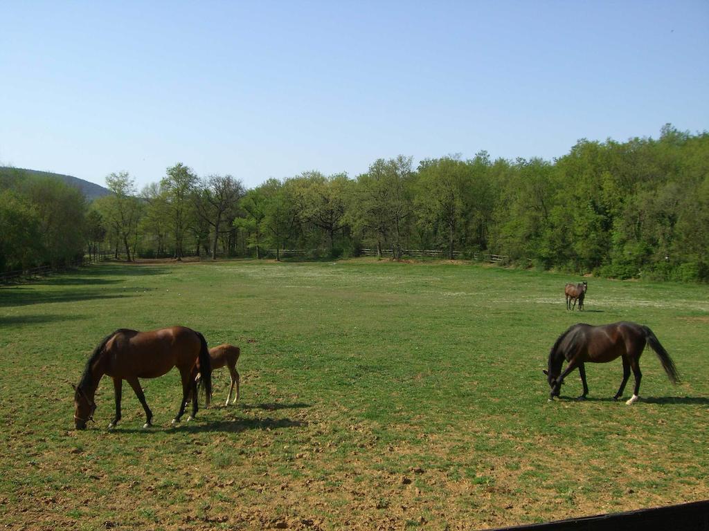 Agriturismo La Selva Villa Siena Kültér fotó