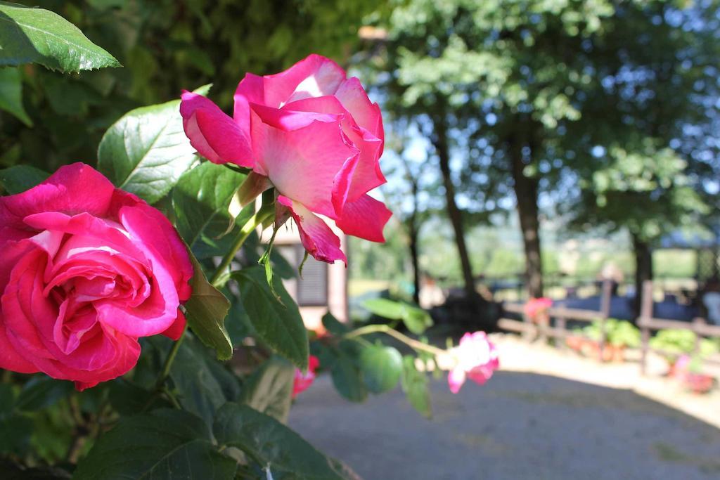 Agriturismo La Selva Villa Siena Kültér fotó