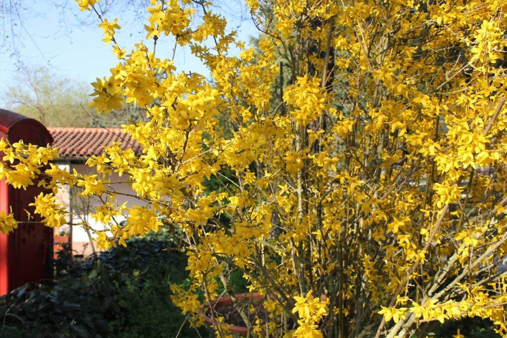 Agriturismo La Selva Villa Siena Kültér fotó