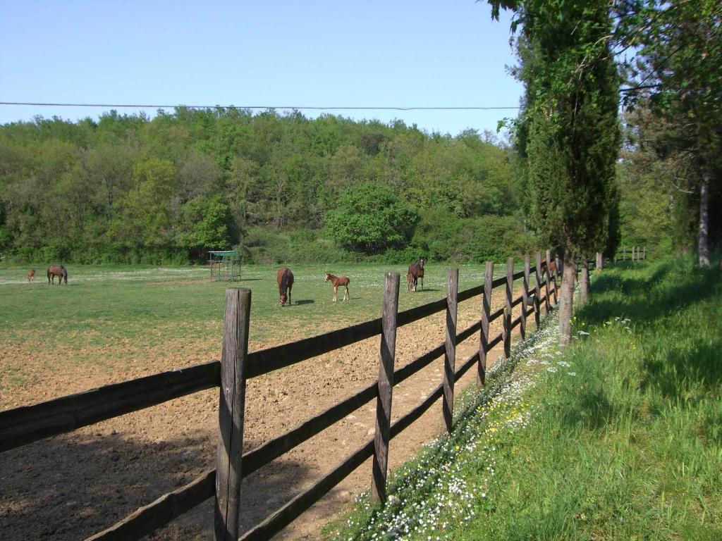 Agriturismo La Selva Villa Siena Kültér fotó